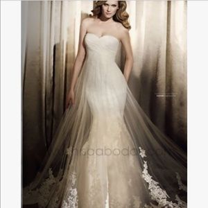 Pronovias Finisterre Wedding Dress